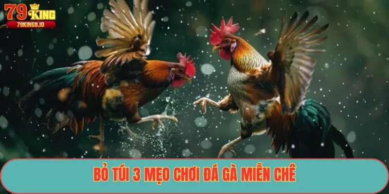Bỏ túi 3 mẹo chơi đá gà miễn chê