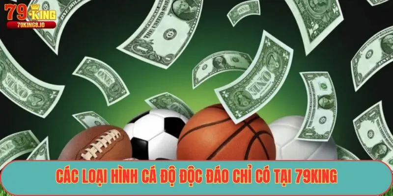 Các loại hình cá độ độc đáo chỉ có tại 79King