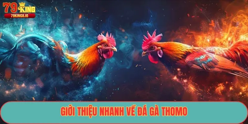 Giới thiệu nhanh về đá gà Thomo
