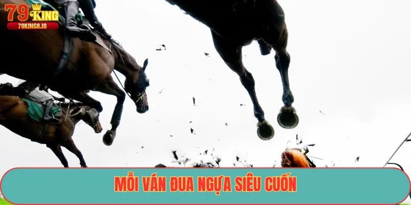 Mỗi ván đua ngựa siêu cuốn